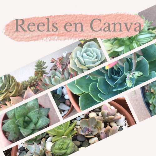 Cómo hacer Reels Dinámicos en Canva para Instagram