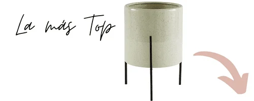 Macetero elevado para Sansevieria