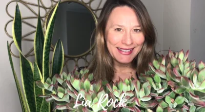 cómo hacer crecer suculentas