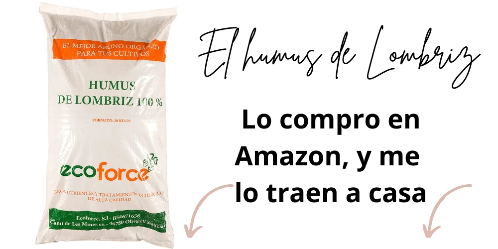 humus de lombriz para suculentas